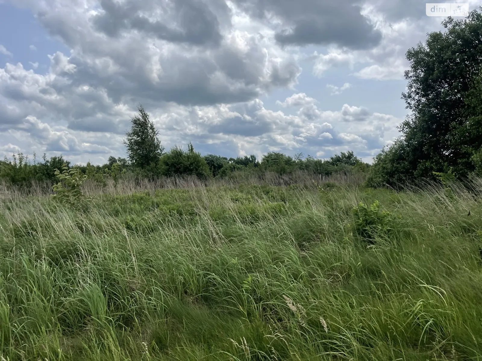 Пасіки-Зубрицькі, цена: 33000 $ - фото 1