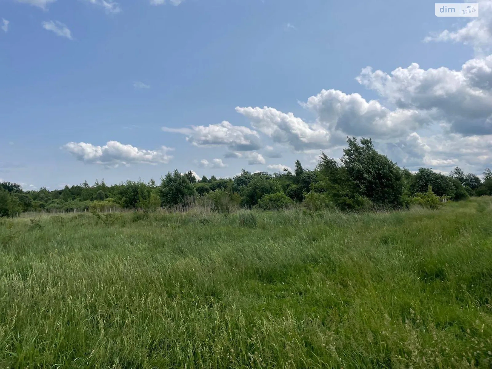 Пасіки-Зубрицькі, цена: 30000 $ - фото 1