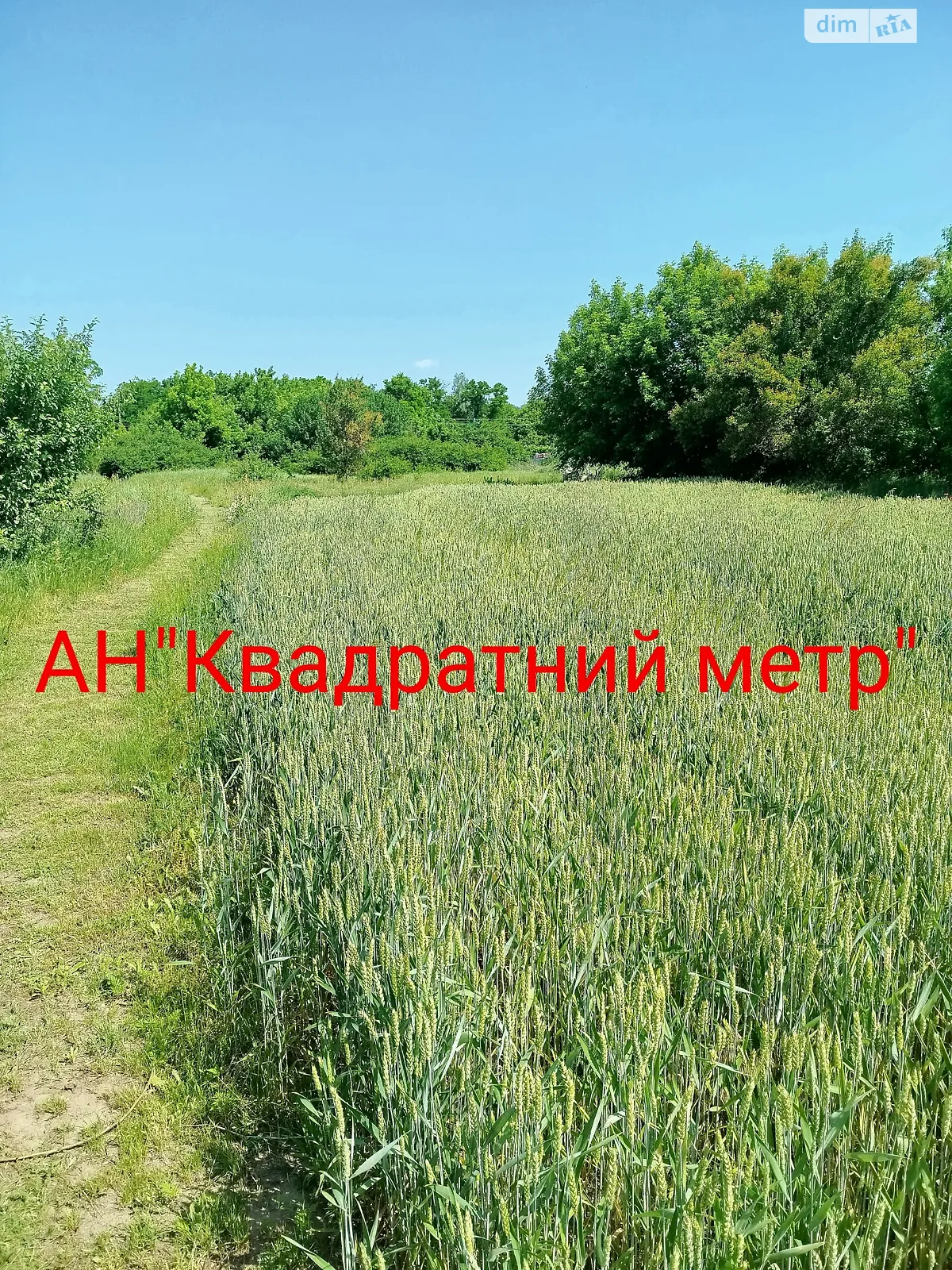 Лесі Українки Смела, цена: 4500 $ - фото 1