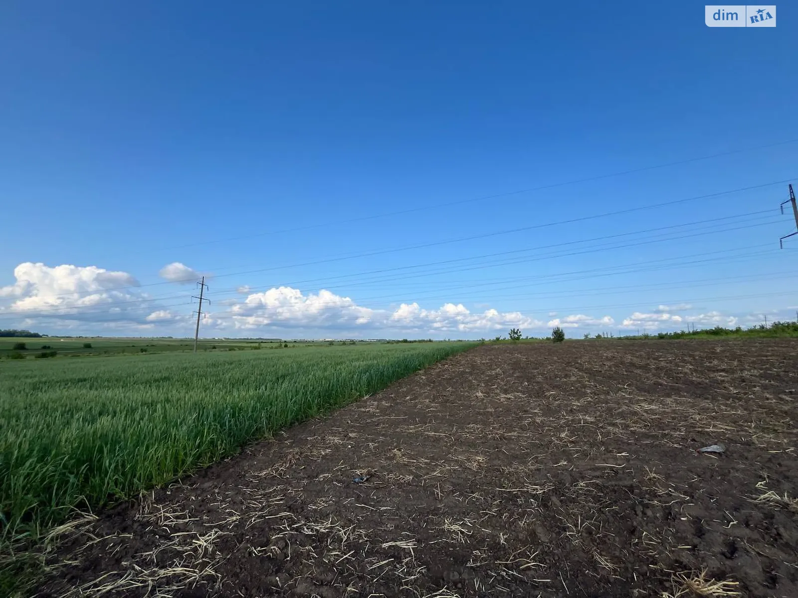 Велика Березовиця, цена: 4500 $ - фото 1