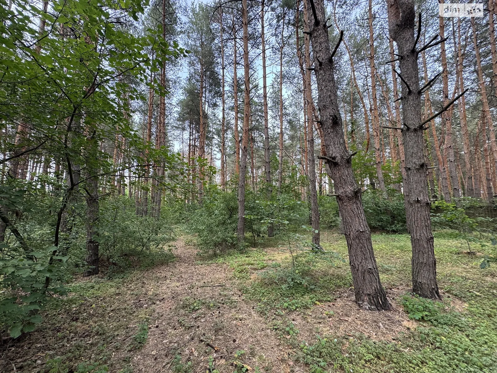 Продається земельна ділянка 25 соток у Дніпропетровській області, цена: 55000 $ - фото 1