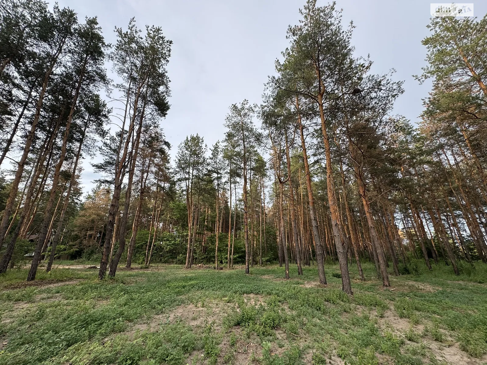 Продается земельный участок 10 соток в Днепропетровской области, цена: 22000 $ - фото 1