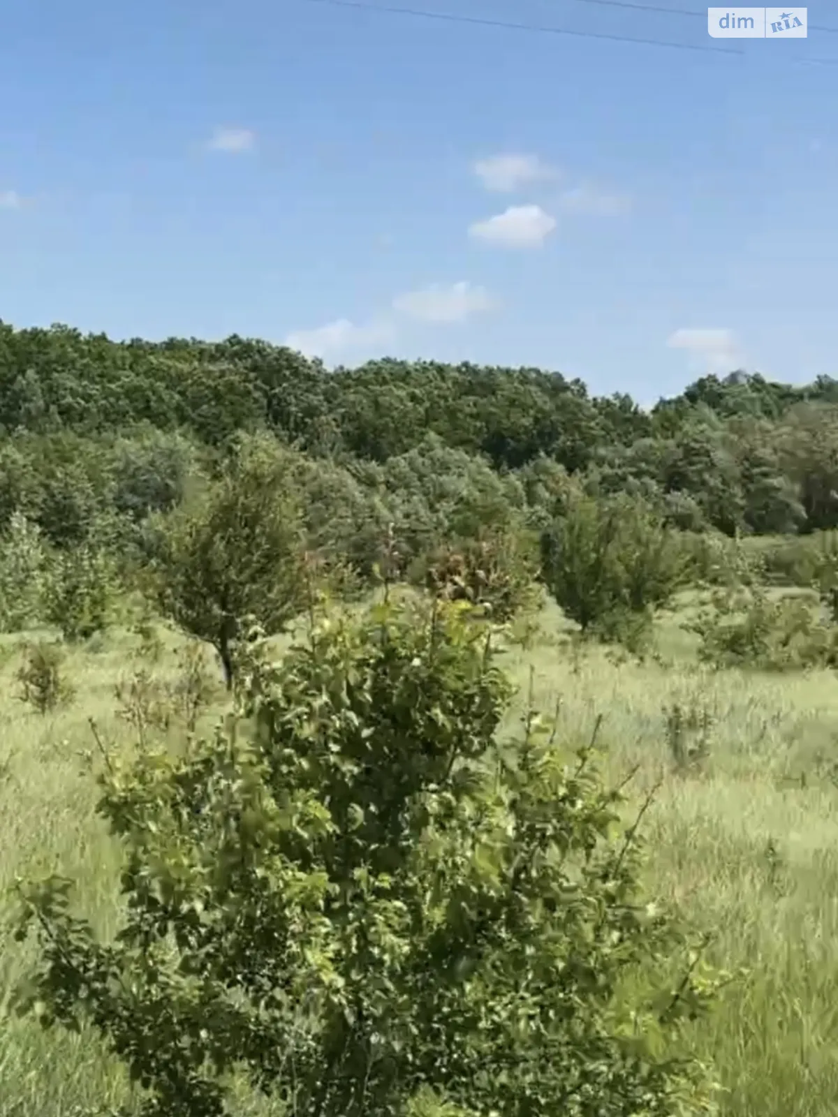 Гущинці, цена: 350000 $ - фото 1