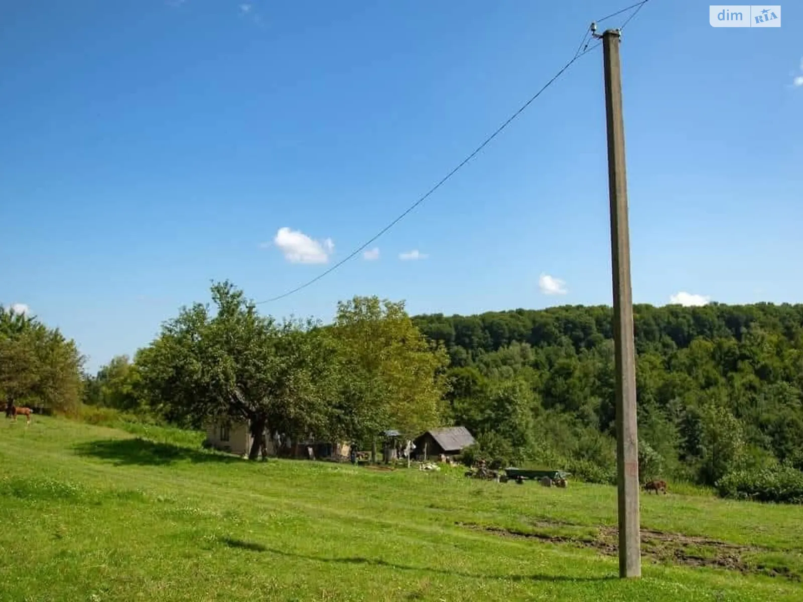 ул. Тараса Шевченко Пестинь, цена: 35000 $ - фото 1