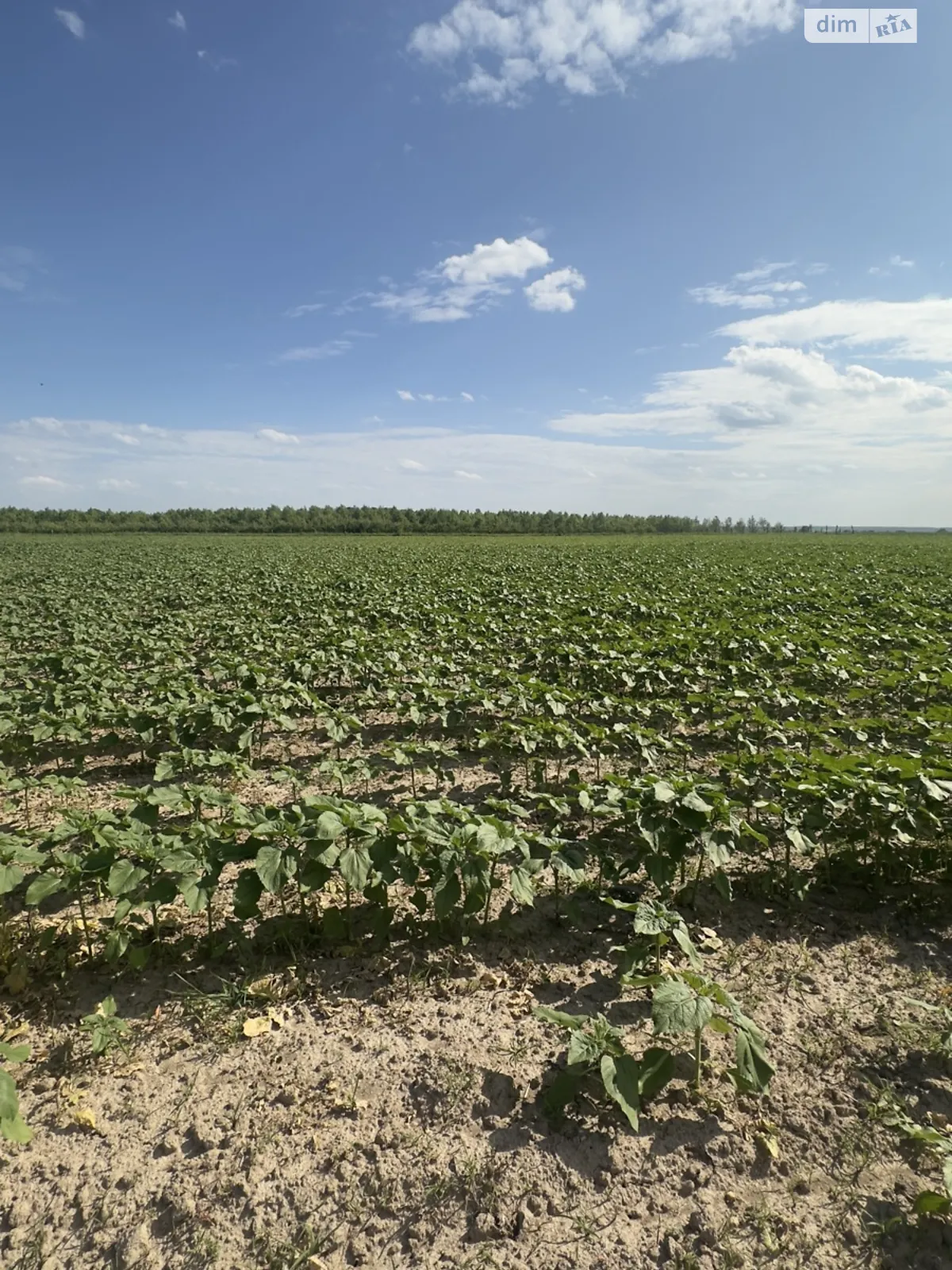 Продається земельна ділянка 10 соток у Вінницькій області, цена: 12000 $ - фото 1