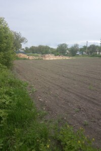 Куплю земельный участок в Новомиргороде без посредников