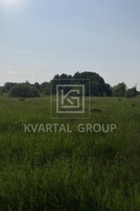 Продаж землі сільськогосподарського призначення, Київська, Любимівка (Бучанський), Польова вулиця