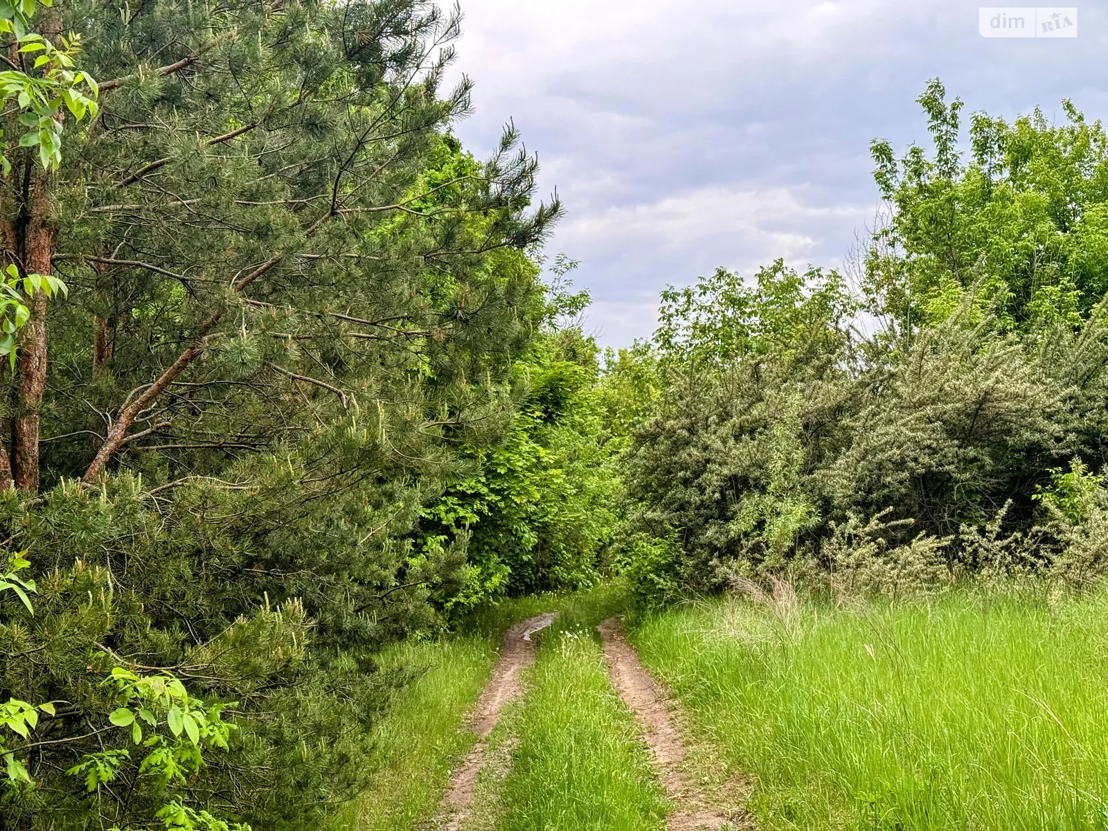 вул. Зелена Музичі, цена: 14000 $ - фото 1