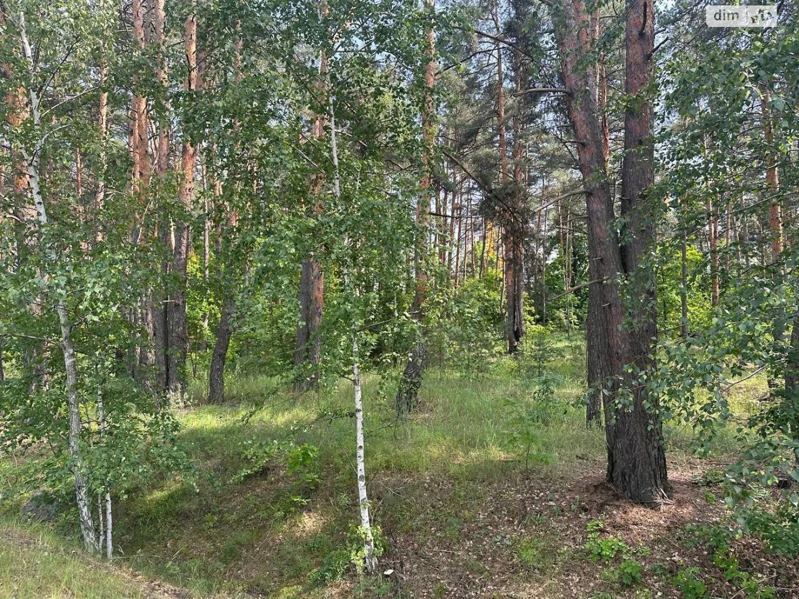 Продается земельный участок 15 соток в Киевской области, цена: 235000 $ - фото 1