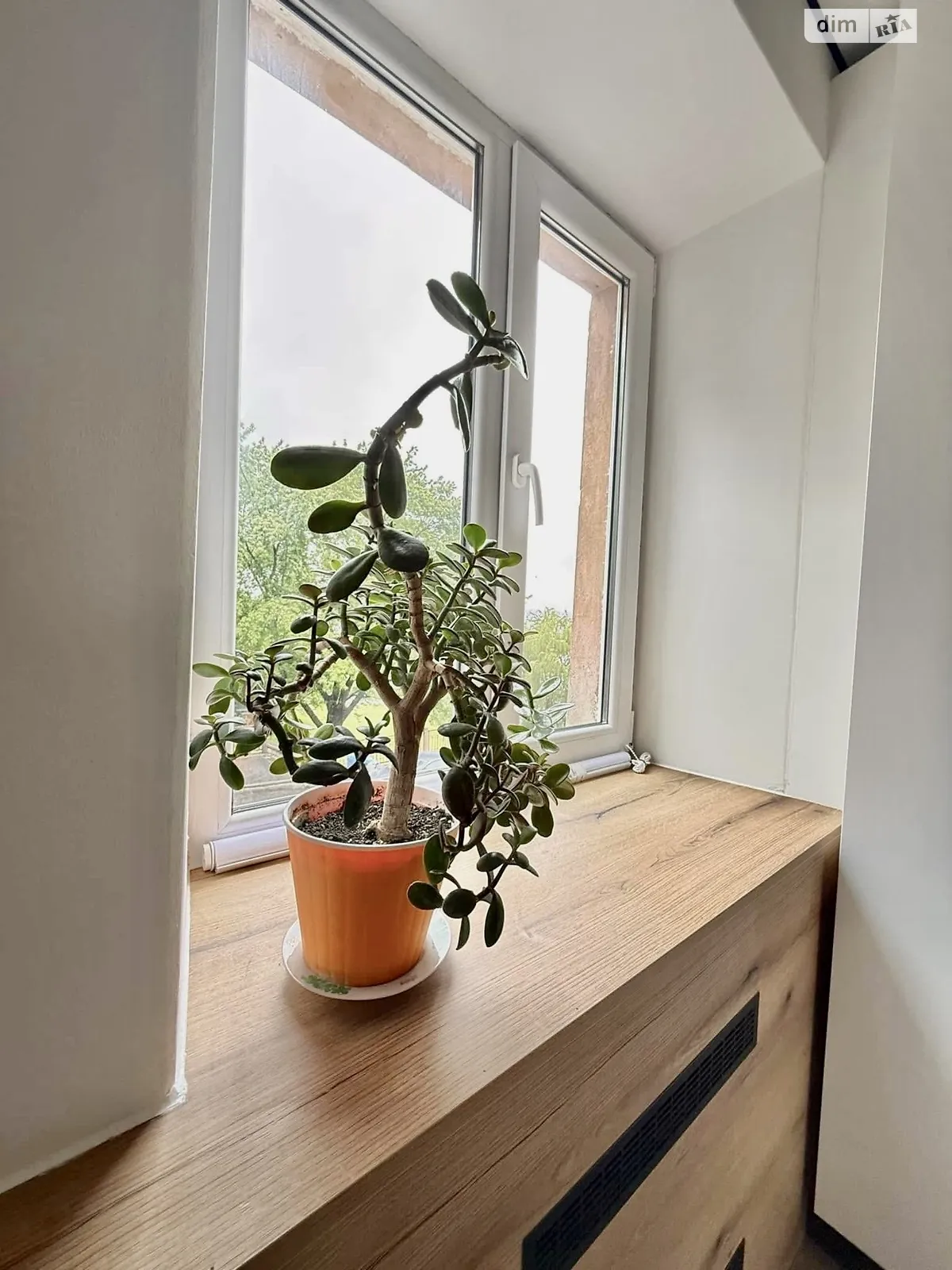 вул. Старий Ринок, 1 Центр Тернопіль, цена: 330 $ - фото 1