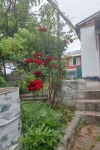 Продажа дома, Днепр, р‑н. Новокодакский, Горіхова