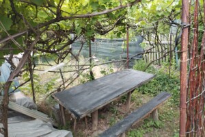 Продажа дома, Днепр, р‑н. Новокодакский, Горіхова, дом 50