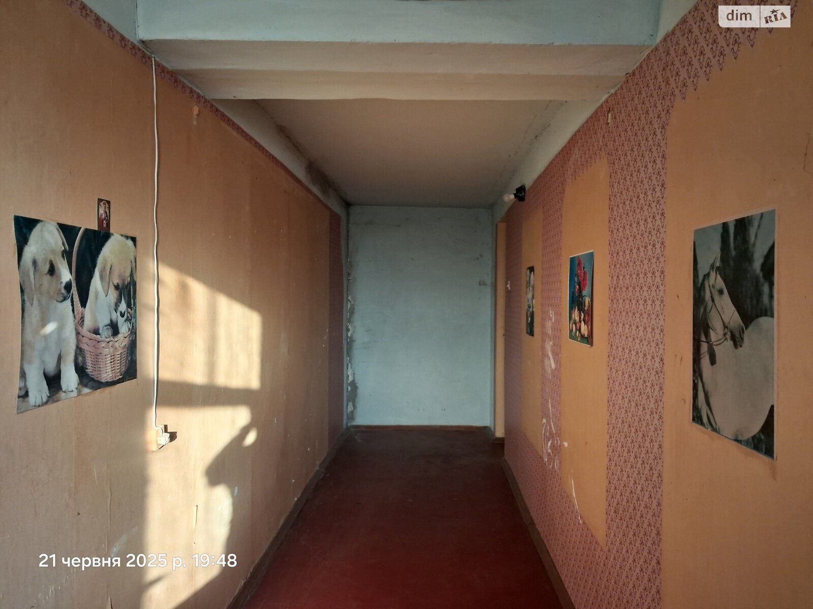 Прев'ю фото 13