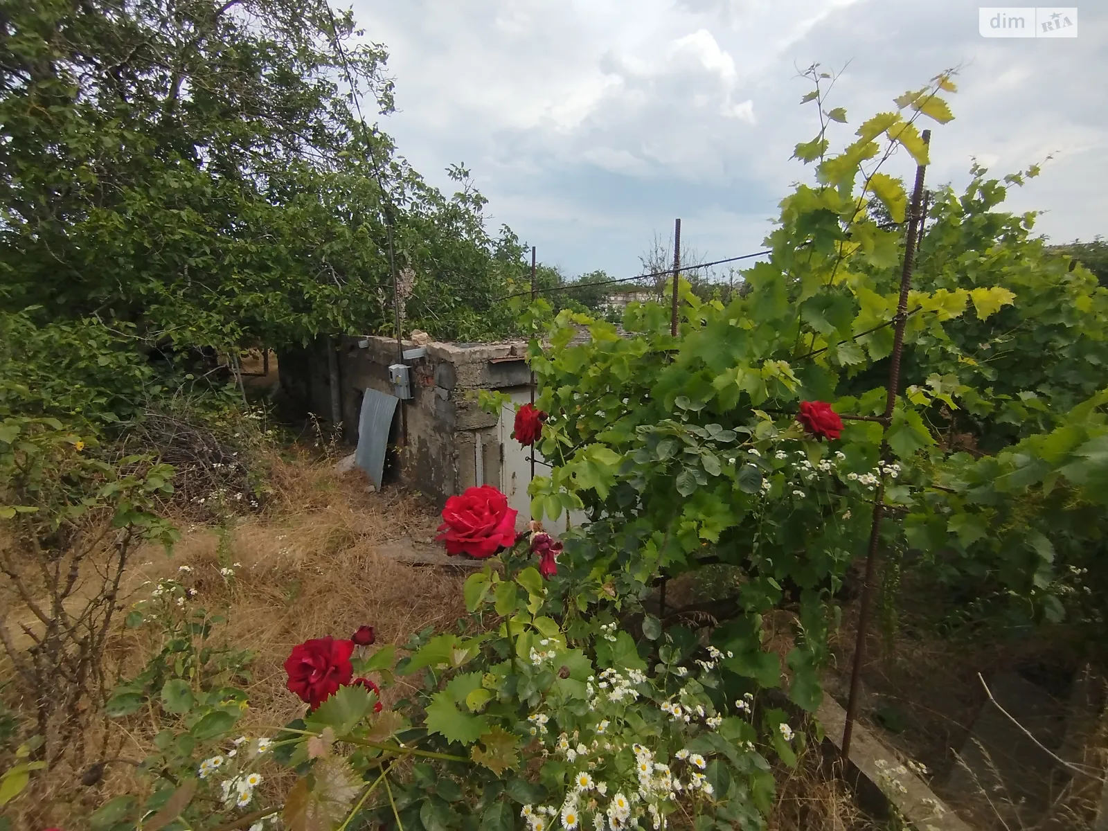 Продається земельна ділянка 6 соток у Одеській області, цена: 5500 $ - фото 1