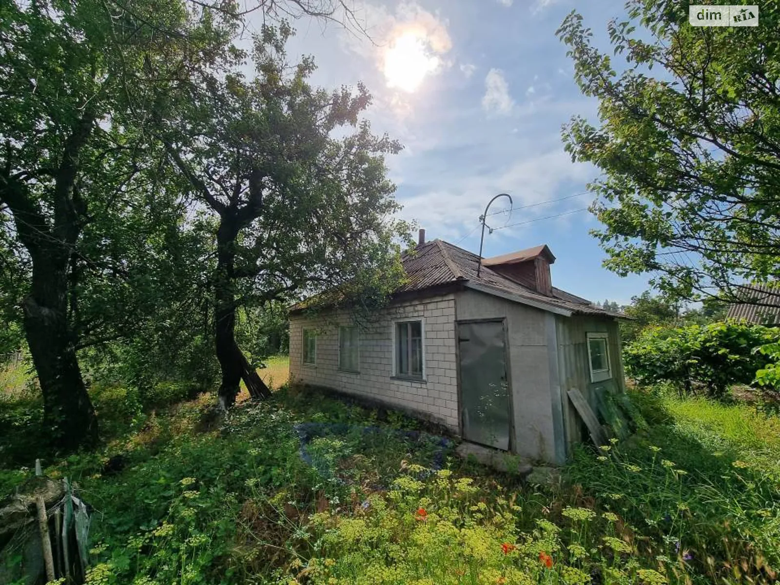 Продается земельный участок 10 соток в Черкасской области, цена: 35000 $ - фото 1