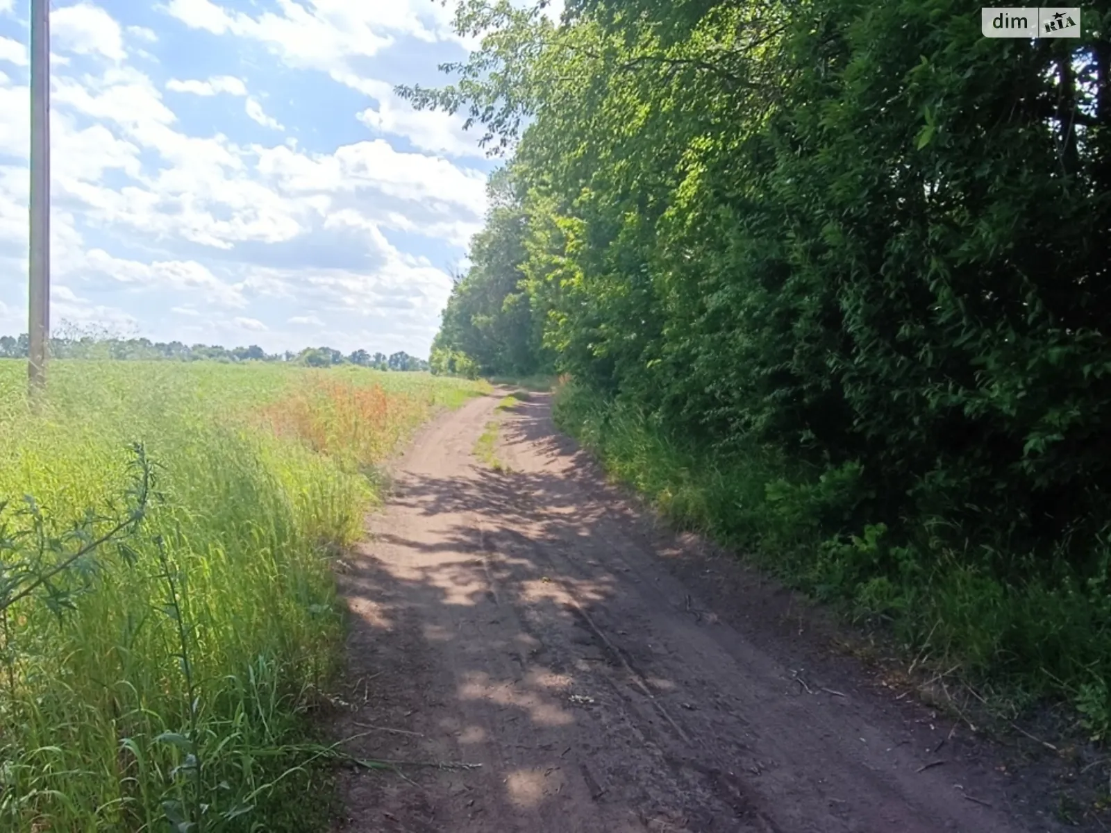 Продається земельна ділянка 150 соток у Вінницькій області, цена: 150000 $ - фото 1