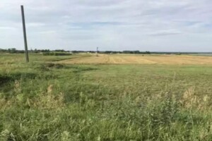 Продаж землі сільськогосподарського призначення, Київська, Княжичі (Фастівський)