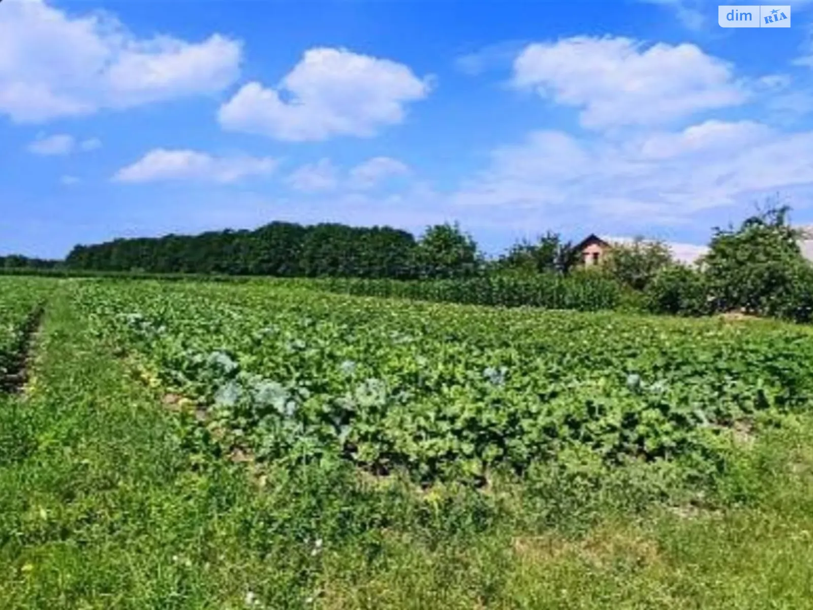 Продається будинок 2 поверховий 140 кв. м з меблями, цена: 44000 $ - фото 1