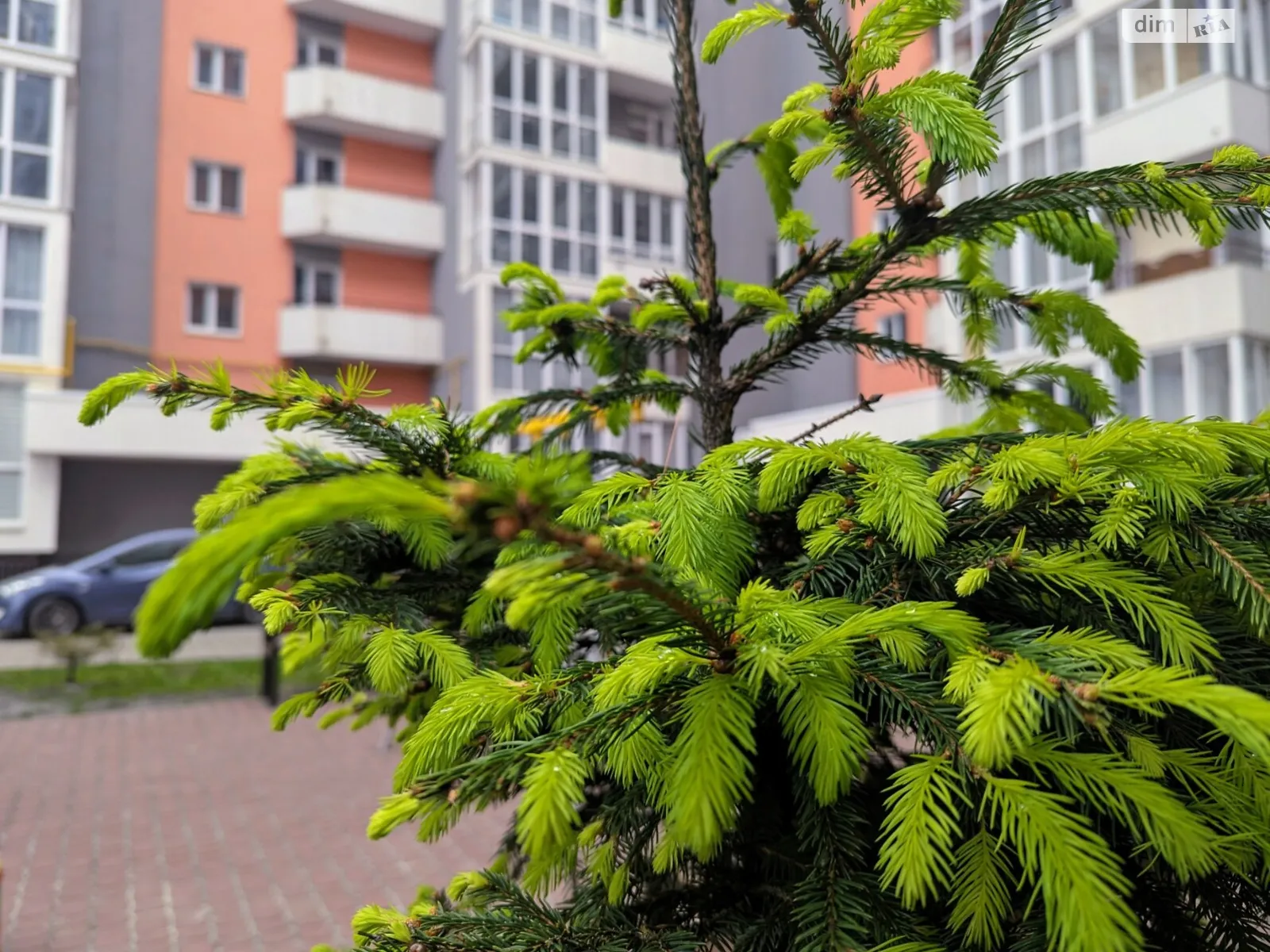 Продается 2-комнатная квартира 68 кв. м в Львове, ул. Зеленая, 281А - фото 1