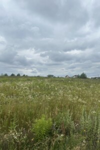 Продаж землі сільськогосподарського призначення, Рівненська, Біла Криниця, Київський масив