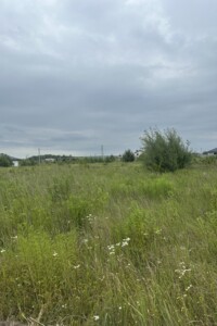 Продаж землі сільськогосподарського призначення, Рівненська, Біла Криниця, Київський масив
