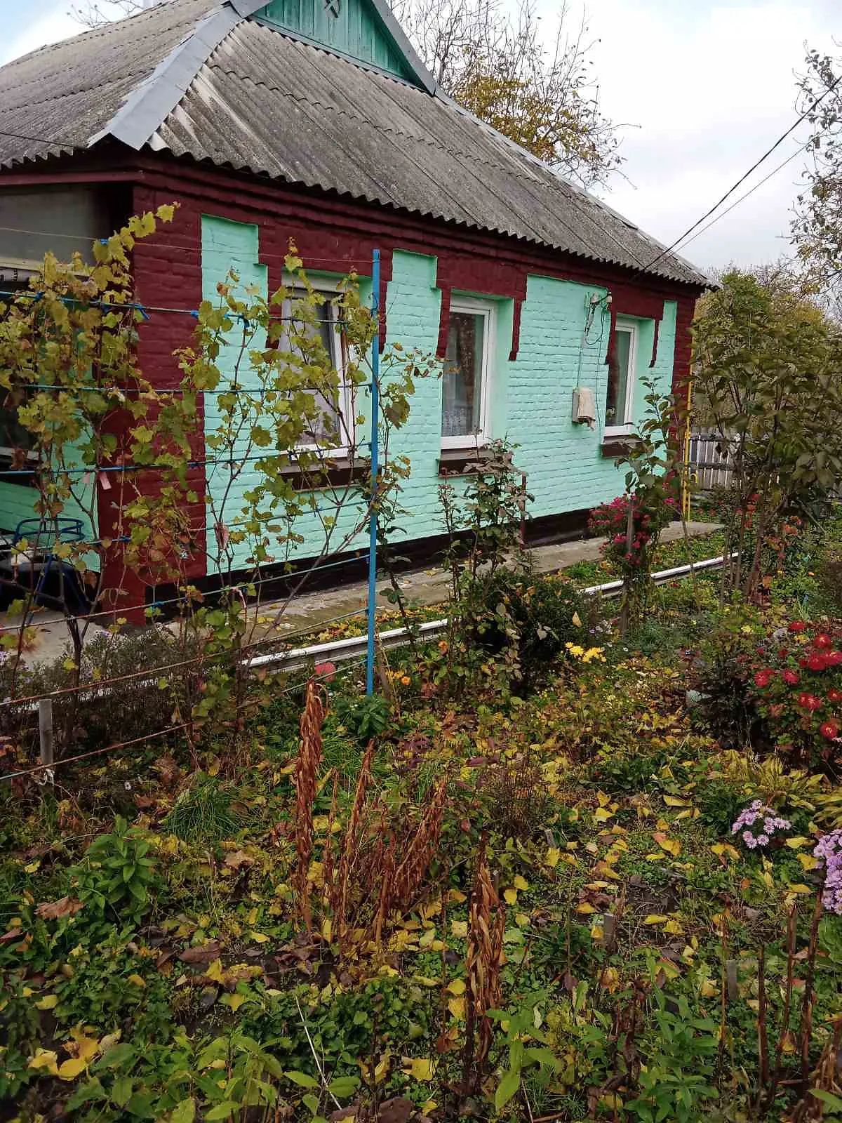 Продается одноэтажный дом 83 кв. м с участком, цена: 20000 $ - фото 1