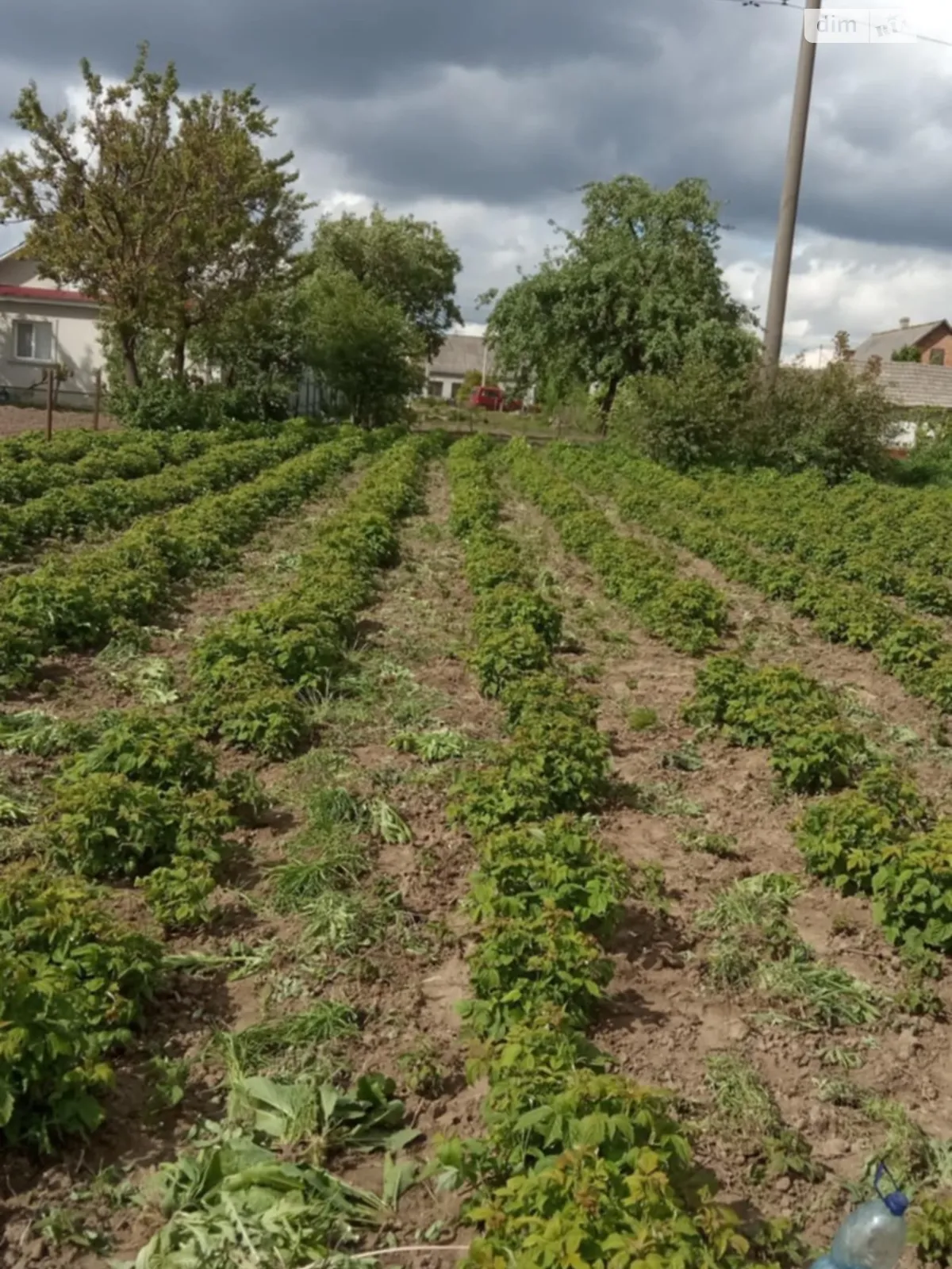 Продається земельна ділянка 16 соток у Рівненській області, цена: 10000 $ - фото 1