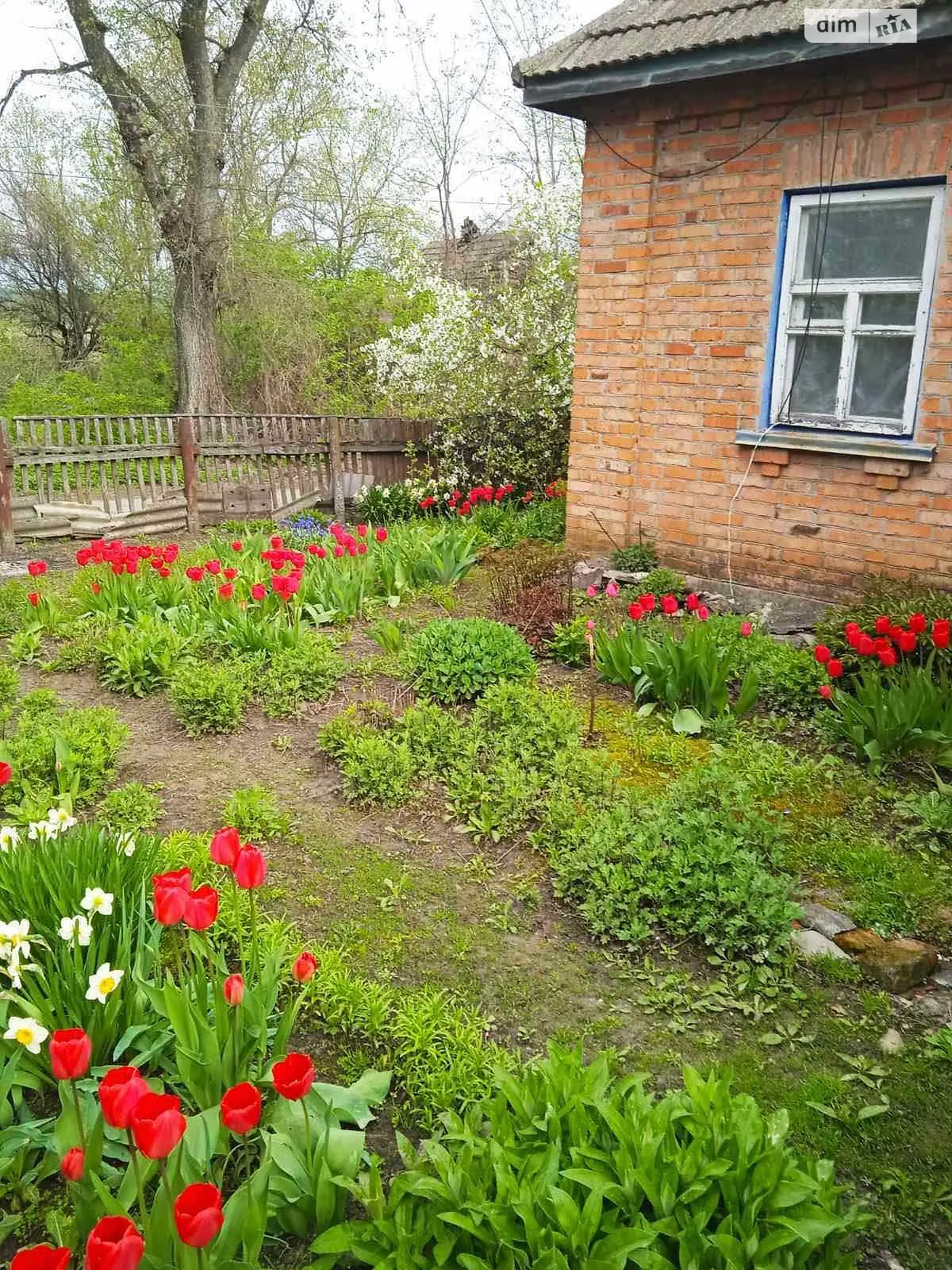 Продается одноэтажный дом 55.2 кв. м с участком, цена: 2500 $ - фото 1