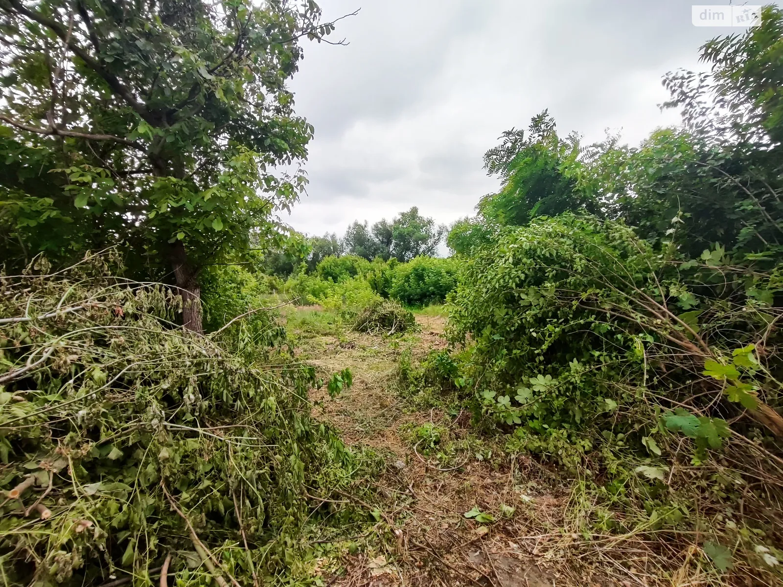 пров. 2-й Червона Гірка Турбів, цена: 8500 $ - фото 1