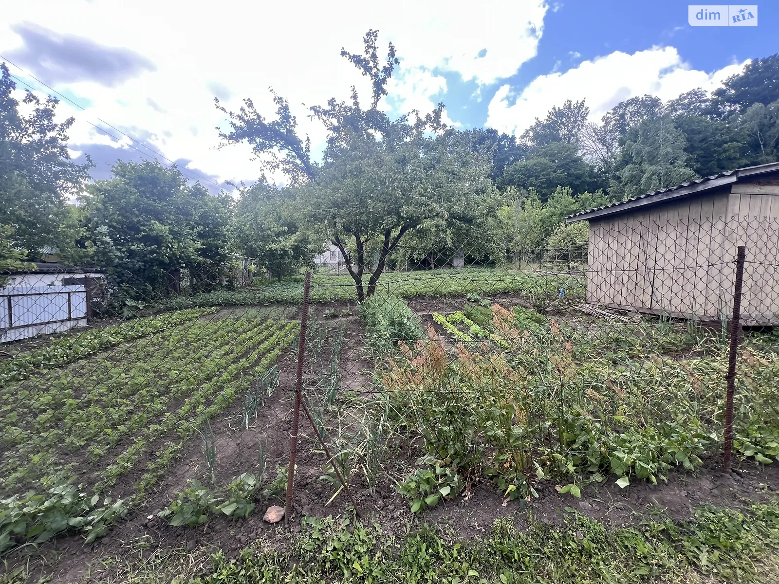 Продается земельный участок 6 соток в Тернопольской области, цена: 7500 $ - фото 1