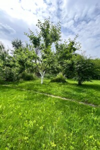 Куплю дом Черниговской области
