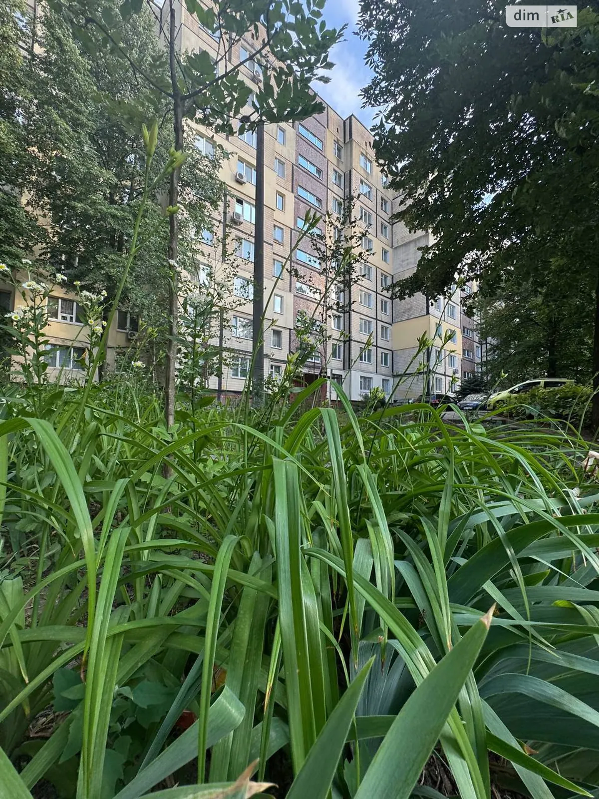 Продается 3-комнатная квартира 65 кв. м в Днепре, мас. Тополь-3, 2/2 - фото 1
