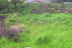 Продажа участка под жилую застройку, Киев, р‑н. Батыева Гора, ст.м. Вокзальная, Дружная улица, дом 3