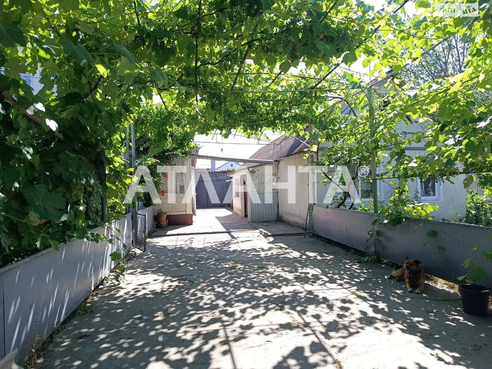 ул. Виноградная Молодежное, цена: 67000 $ - фото 1