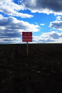 Продажа земли сельскохозяйственного назначения, Тернопольская, Великие Гаи, Галицкая улица