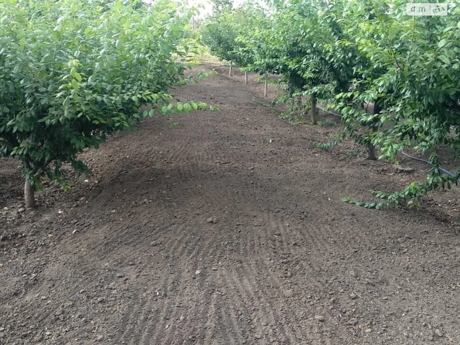 Продается земельный участок 20.6 соток в Одесской области, цена: 4000 $ - фото 1