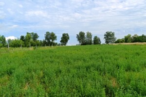 Продажа земли сельскохозяйственного назначения, Винницкая, Браилов, Центральная улица