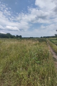 Продажа участка под жилую застройку, Винницкая, Селище (Тывров), Данила Нечая улица