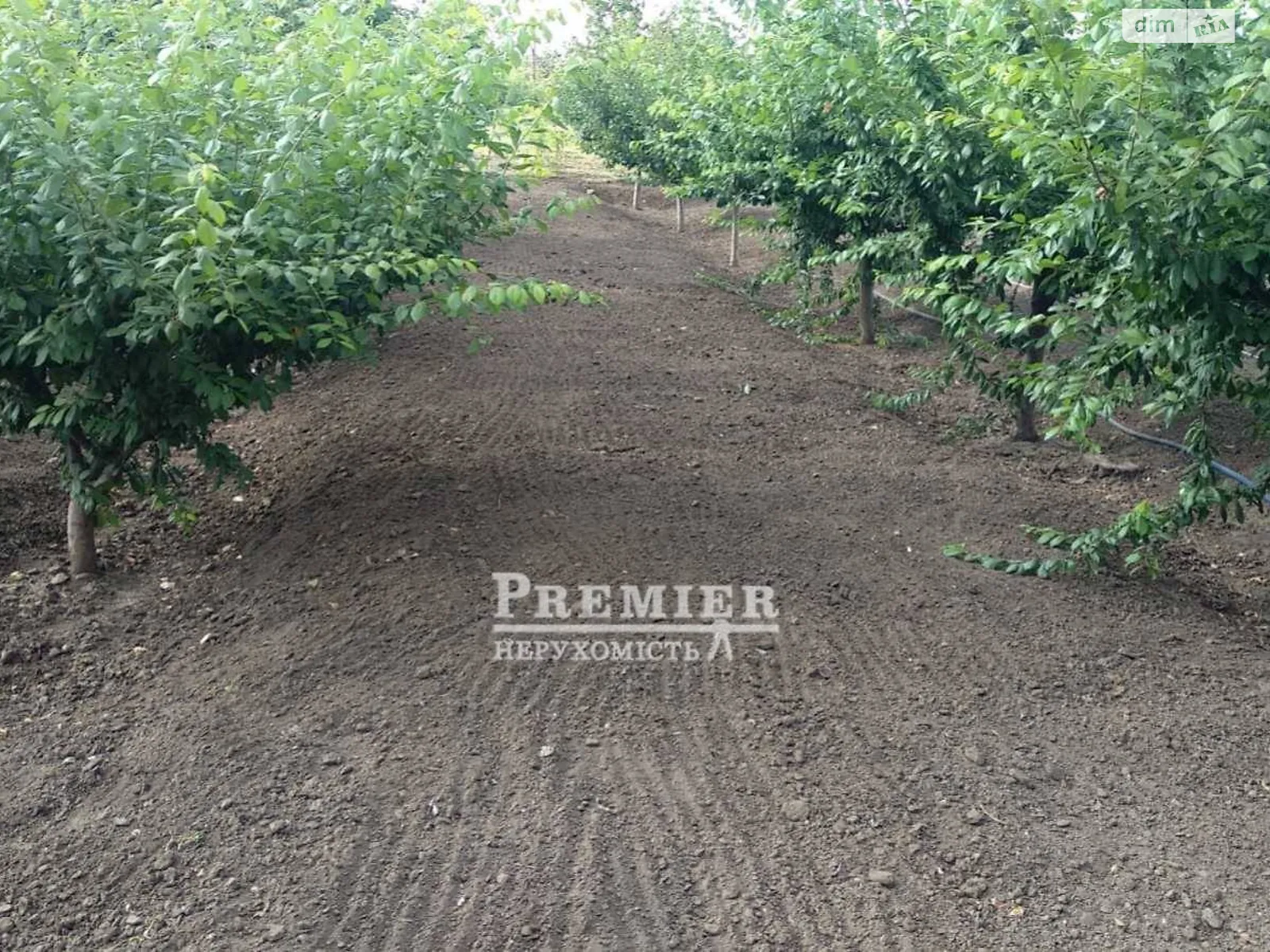 Продается земельный участок 20.6 соток в Одесской области, цена: 4000 $ - фото 1