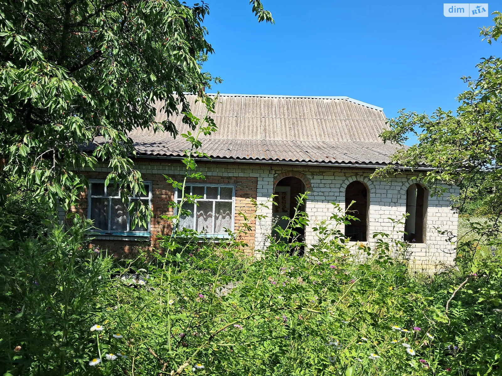 ул. Мира, 28 Лесовые Гриновцы - фото 2