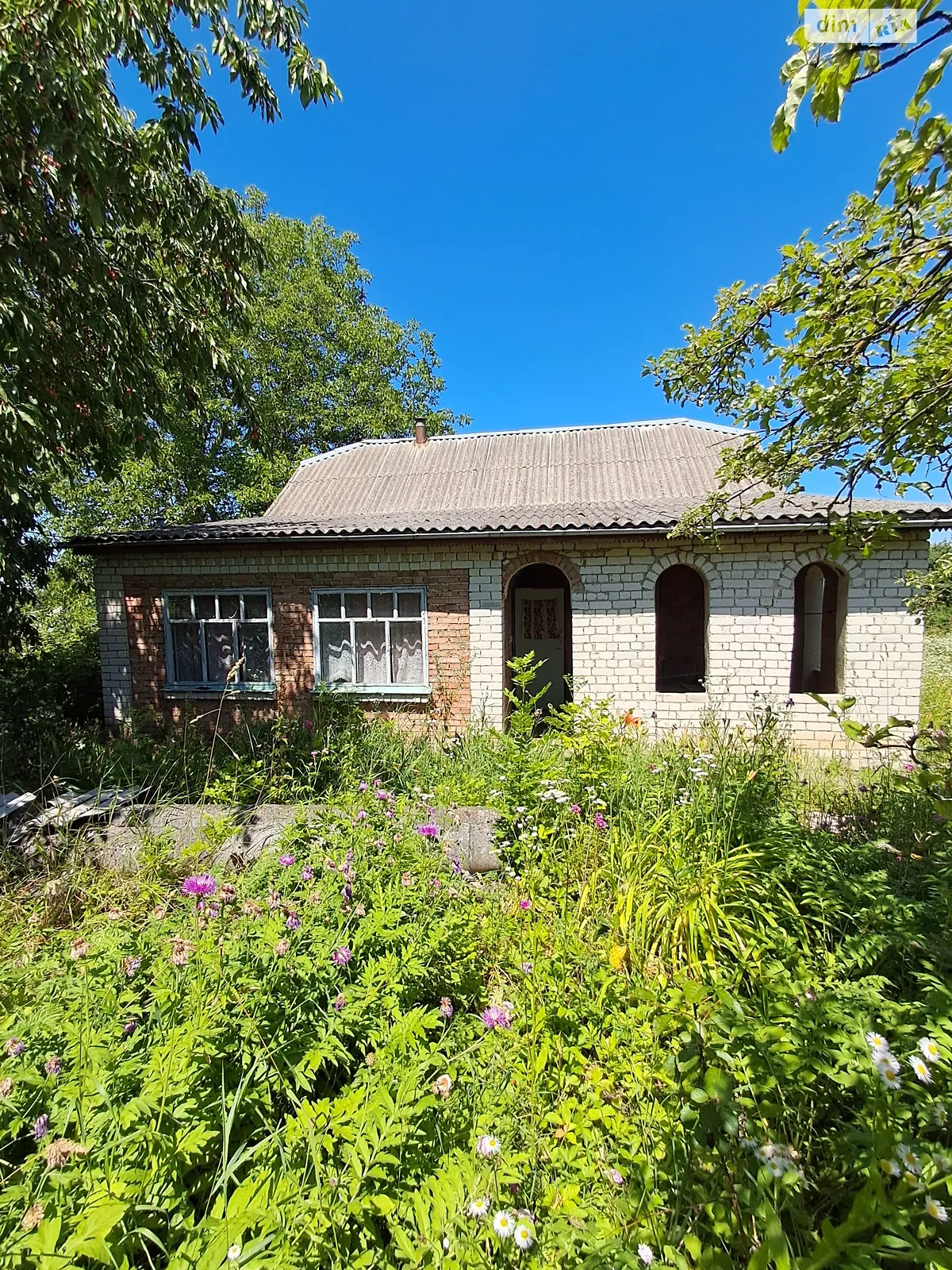 ул. Мира, 28 Лесовые Гриновцы - фото 3