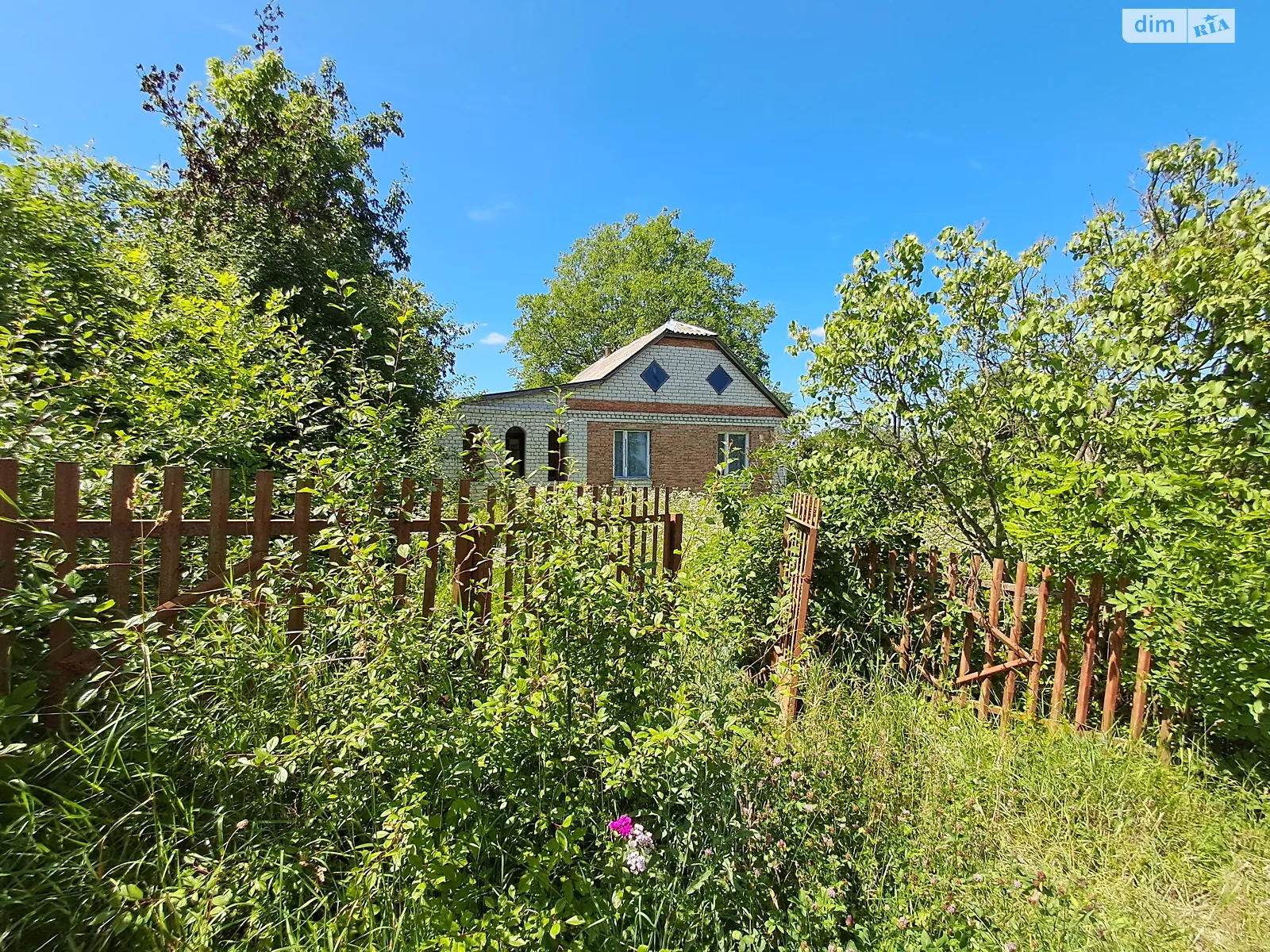 ул. Мира, 28 Лесовые Гриновцы - фото 4