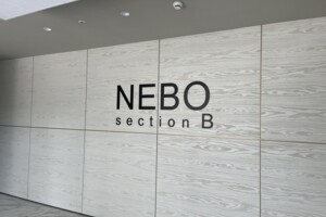 Продажа квартиры, Днепр, р‑н. Парк Шевченко, Вернадского Владимира (Дзержинского) улица, дом 35Н