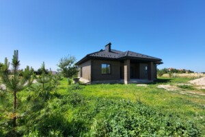Продажа дома, Винницкая, Лука-Мелешковская, Пирогова улица
