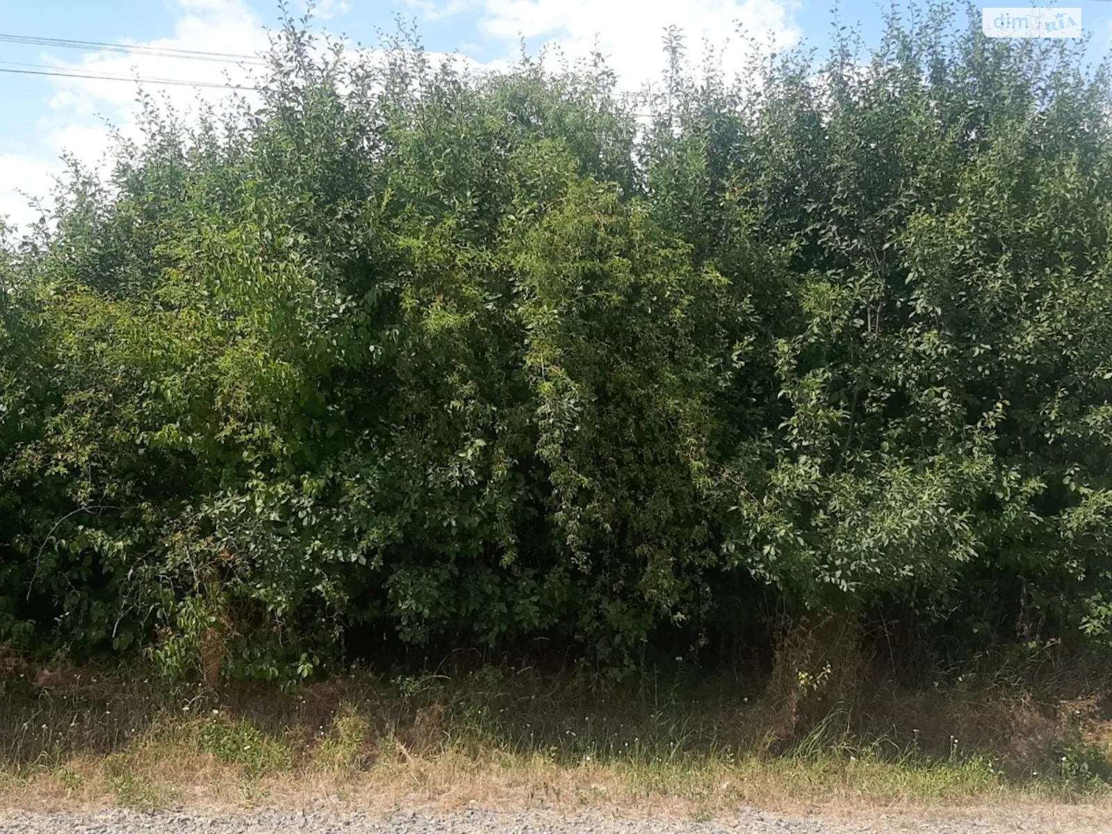 ул. 8-го Марта Минай, цена: 45000 $ - фото 1