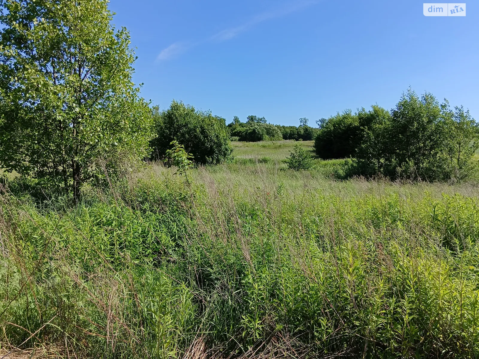 Продается земельный участок 10 соток в Львовской области, цена: 37000 $ - фото 1