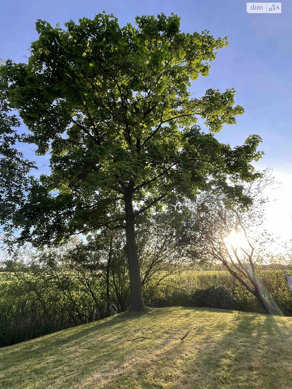 Продается земельный участок 13.6 соток в Житомирской области, цена: 11500 $ - фото 1