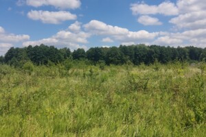 Продаж землі сільськогосподарського призначення, Вінницька, Березина, Барське шосе