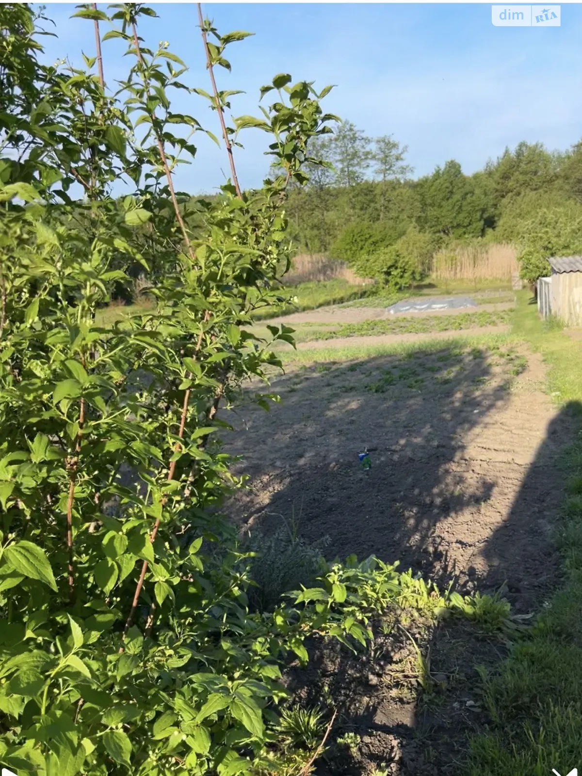 Продается земельный участок 9 соток в Ровенской области, цена: 7500 $ - фото 1