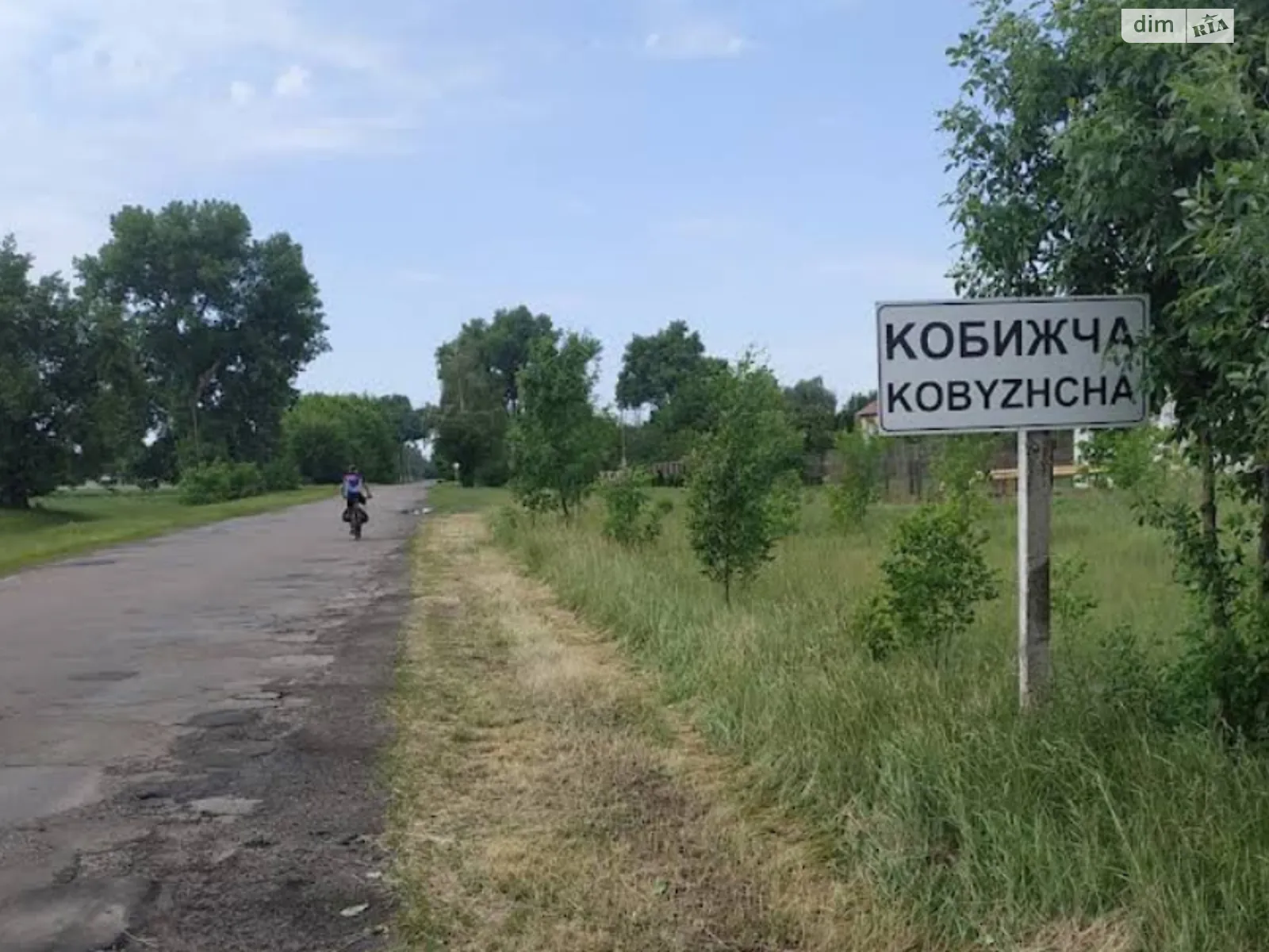 Продается земельный участок 66 соток в Черниговской области, цена: 4000 $ - фото 1